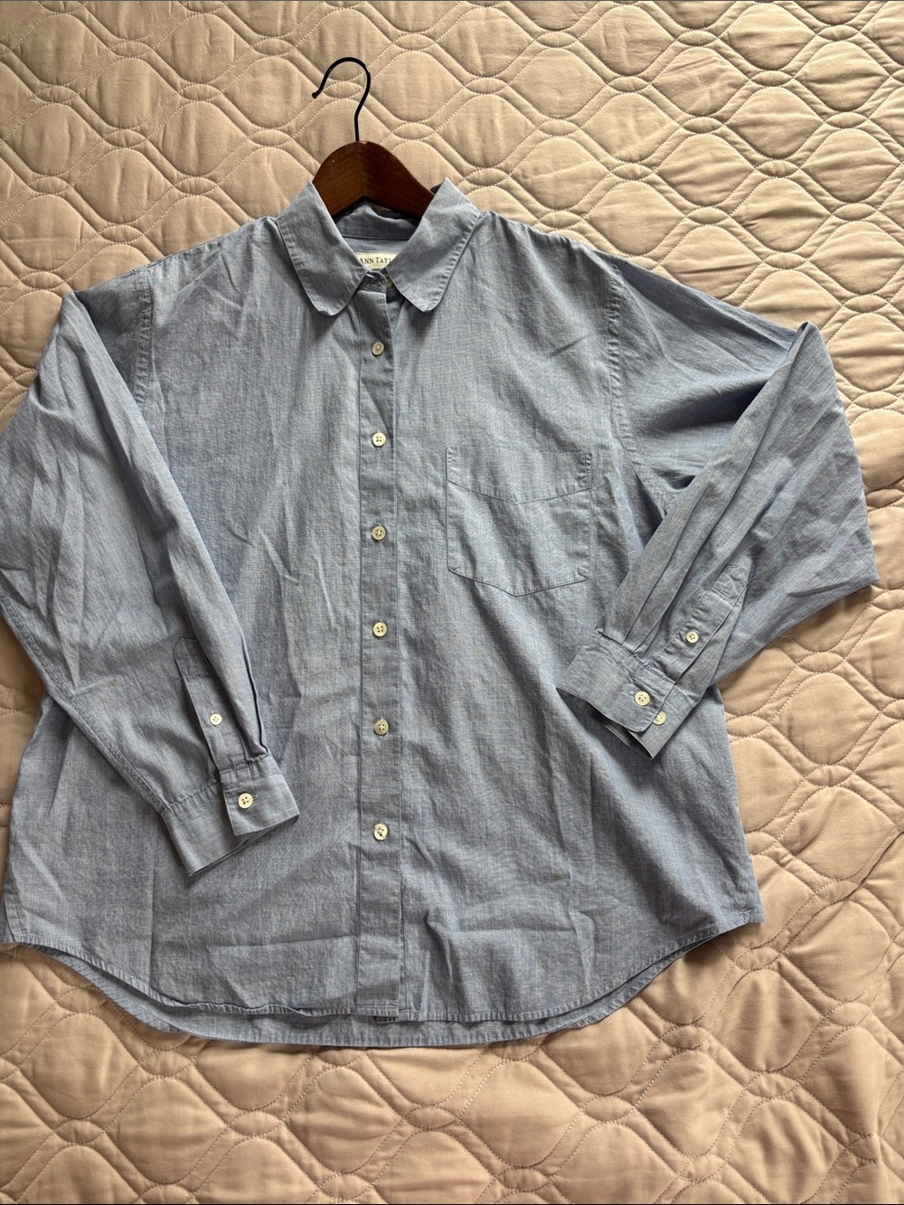 Ann Taylor Women’s Light Blue Casual Button-Down Shirt